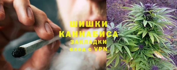 PSILOCYBIN Гусиноозёрск