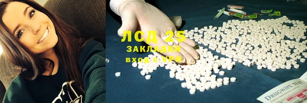 индика Гусев